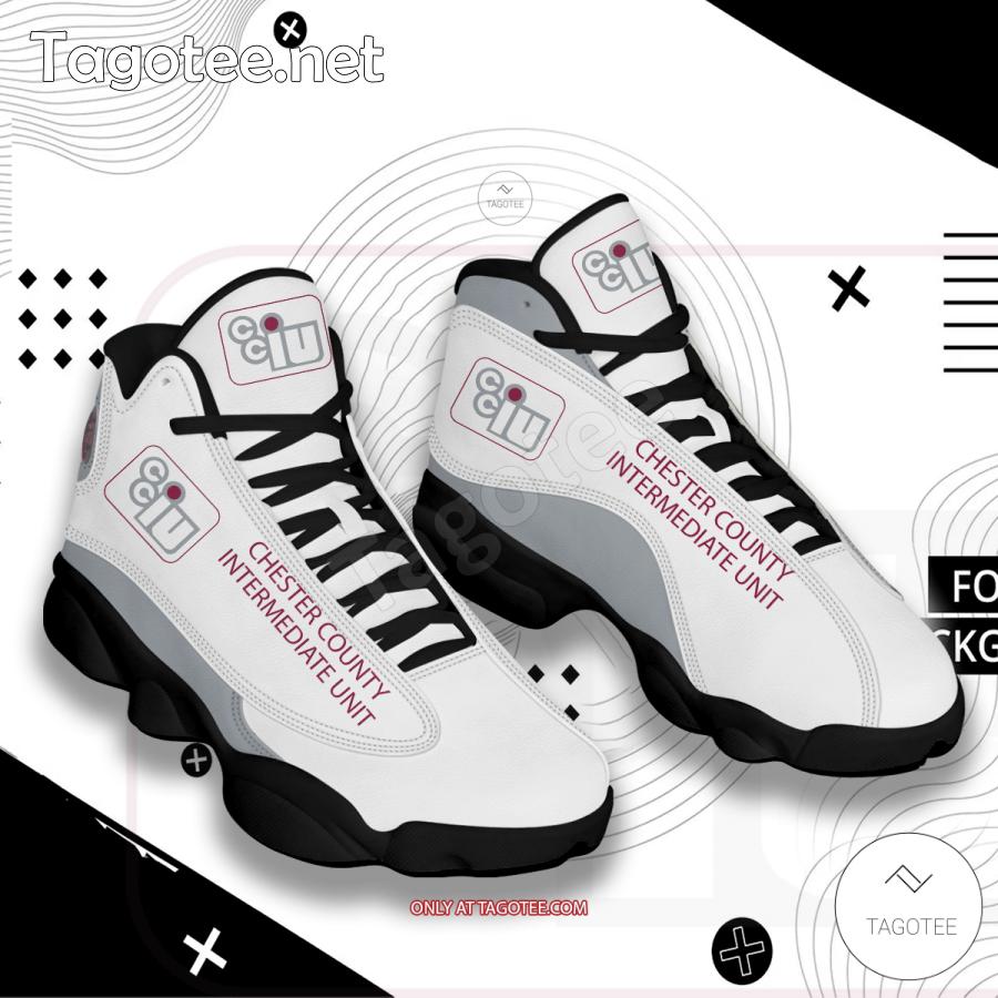 Chester County Intermediate Unit Logo Air Jordan 13 Shoes - BiShop